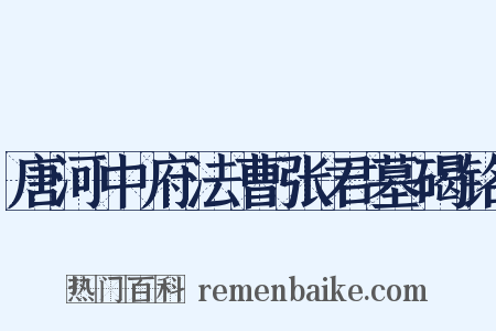 唐河中府法曹张君墓碣铭是什么意思的图片